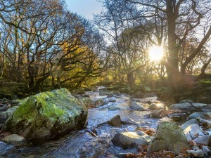 Stream Through Beddgelert