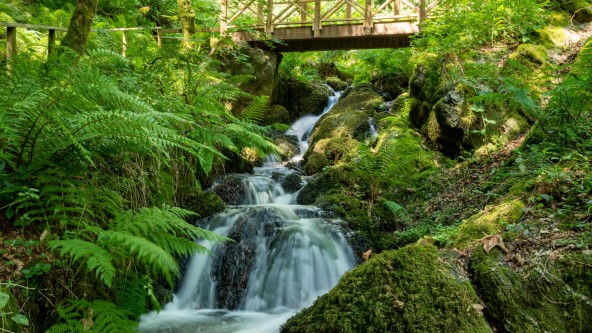 Harcombe House - Canonteign Falls