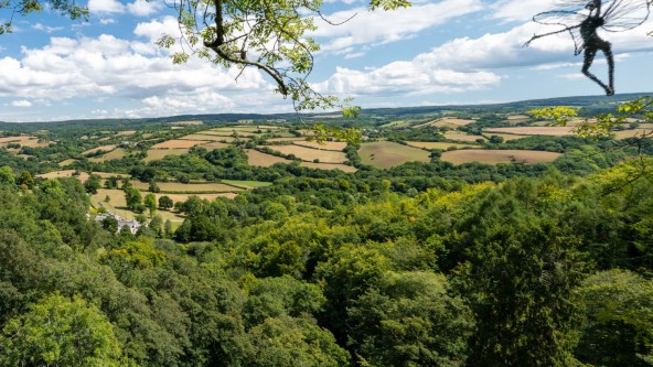 Harcombe House - Teign Valley