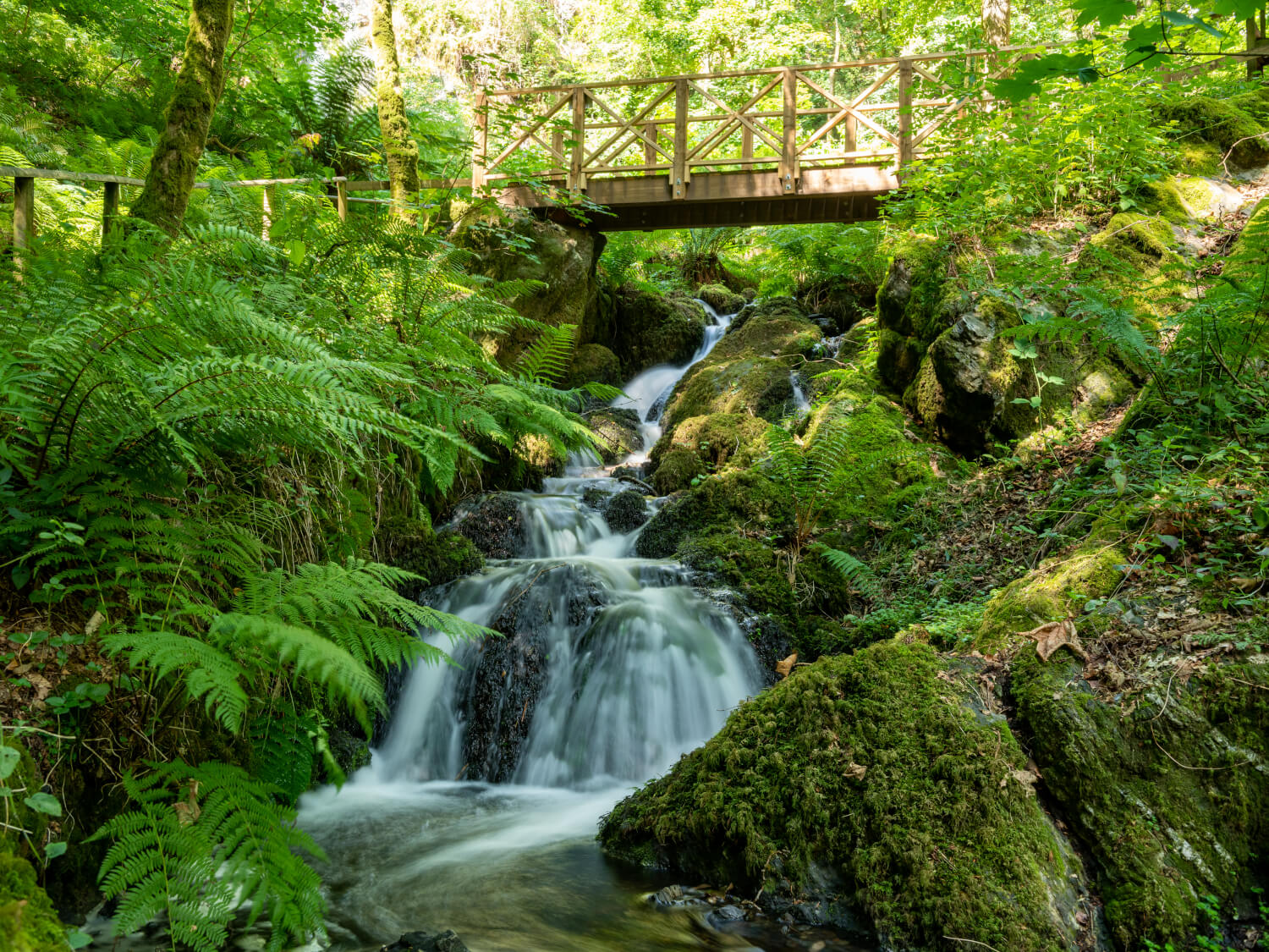 Harcombe House - Canonteign Falls
