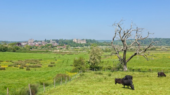 Marine Court - Countryside near Arundel