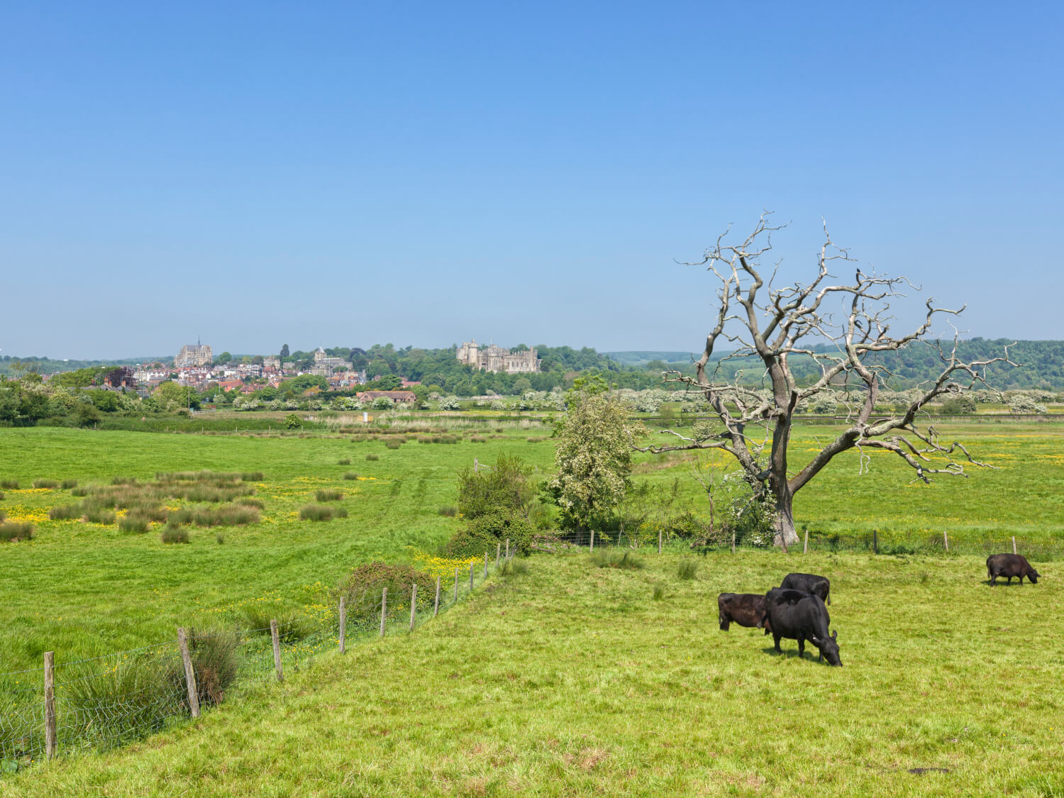 Marine Court - Countryside near Arundel
