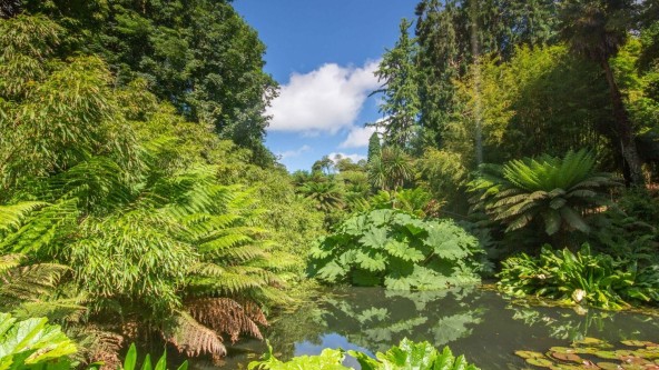 Lost Gardens of Heligan