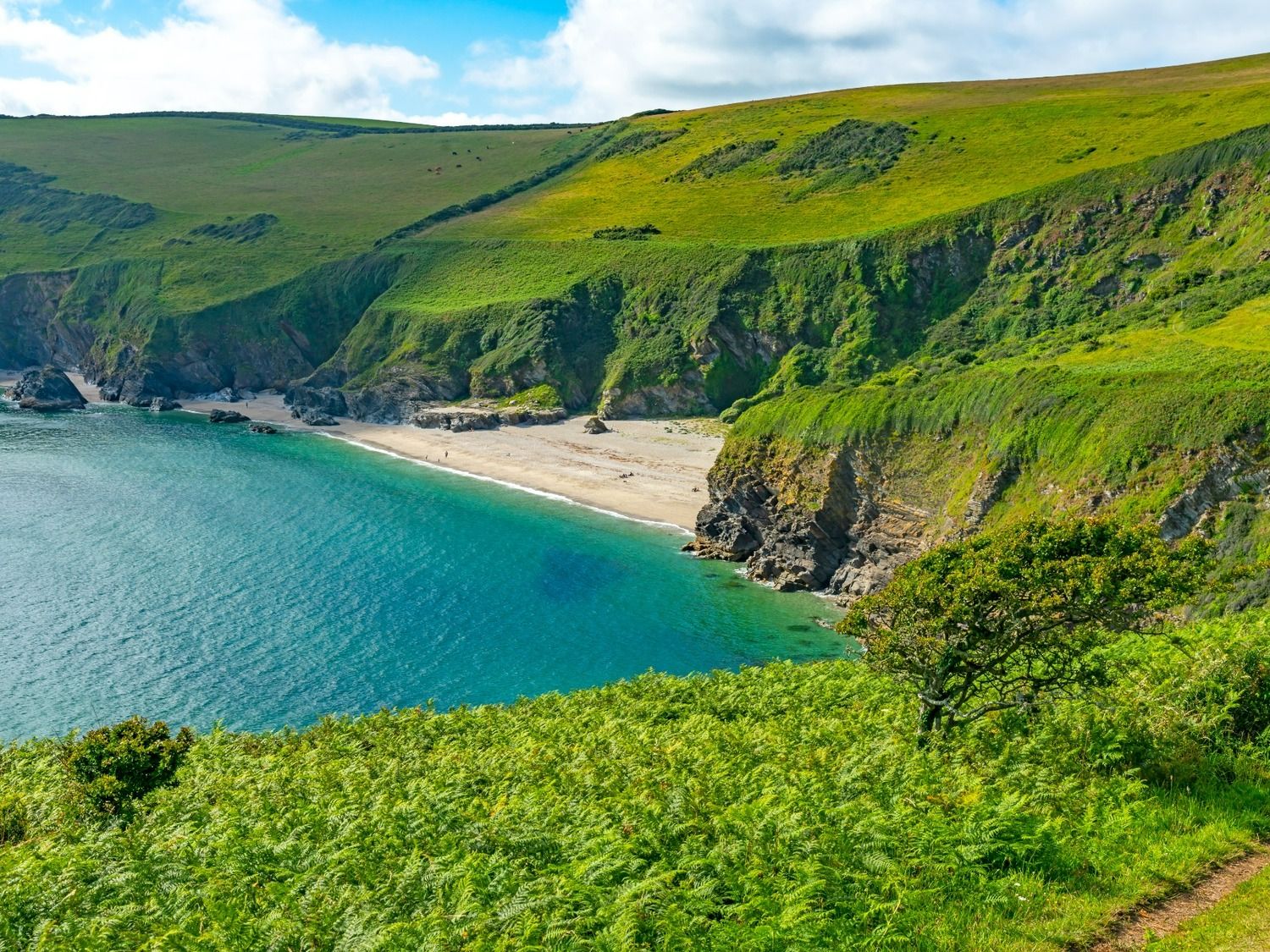 Lantic Bay