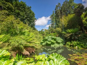 Lost Gardens of Heligan
