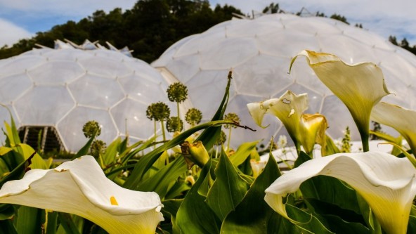 Eden Project