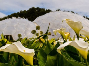 Eden Project