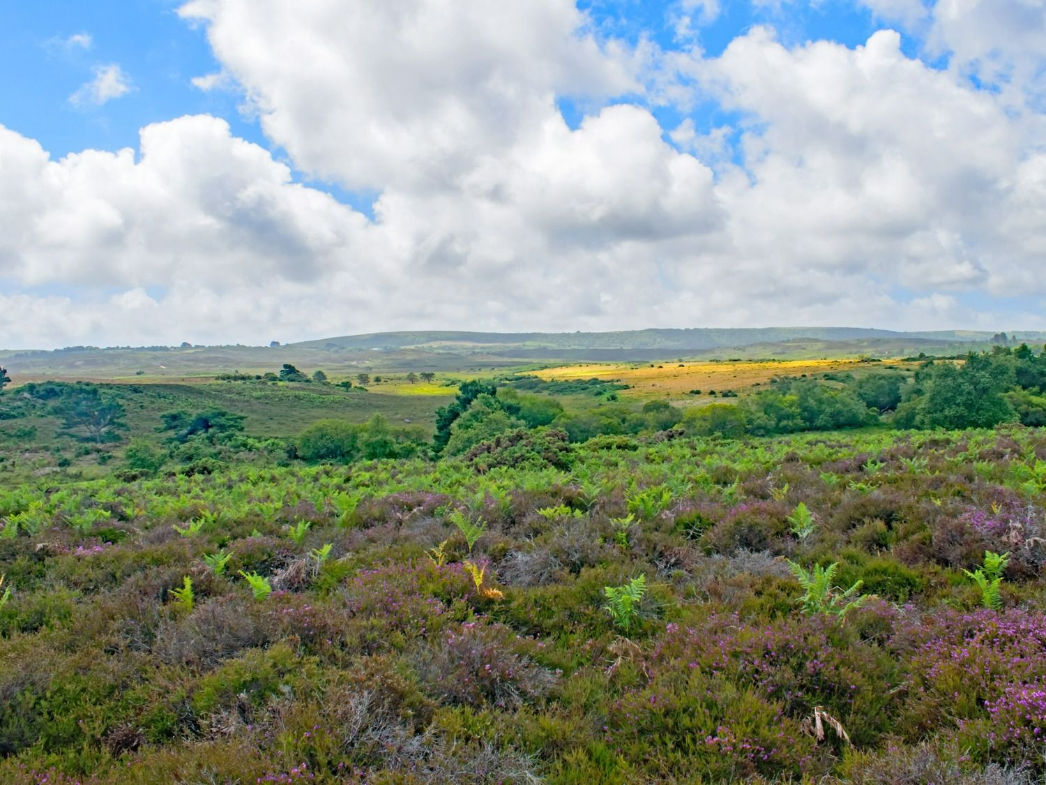 Purbeck, Dorset