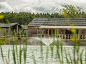Water Feature
