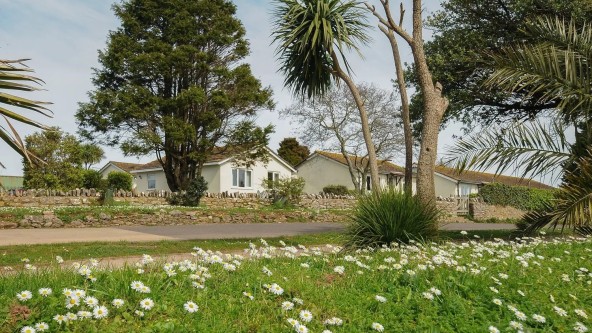 Landscove Holiday Park