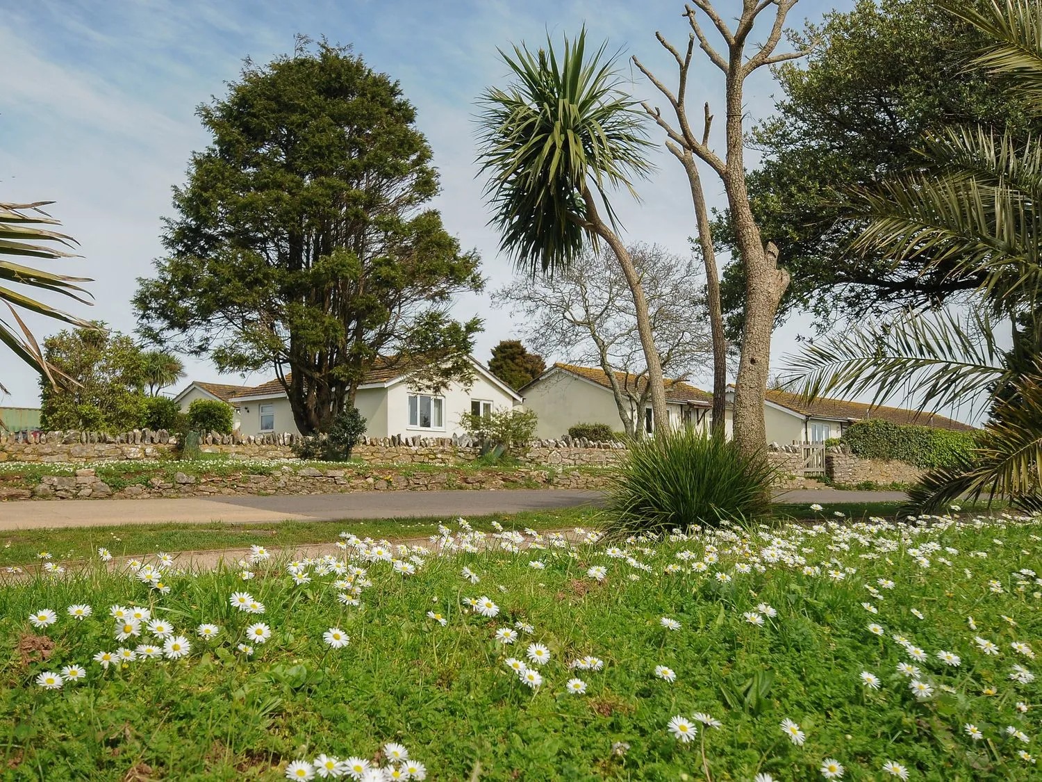 Landscove Holiday Park