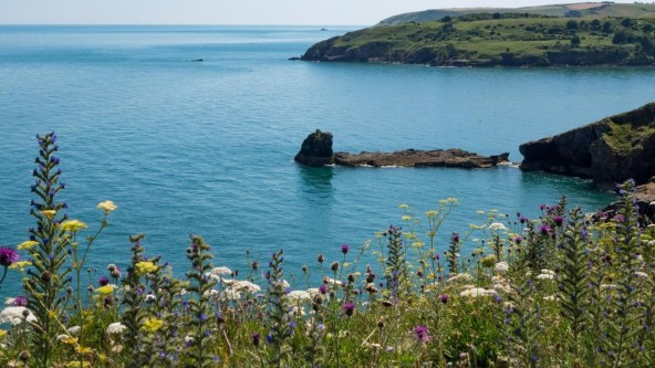 Berry Head Nature Reserve