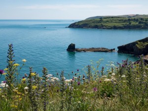Berry Head Nature Reserve