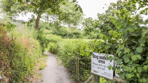 Twelve Oaks Farm Dog Walking Area