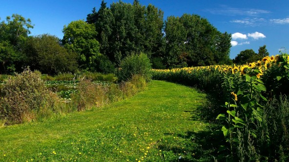 Twelve Oaks Farm Holiday Park