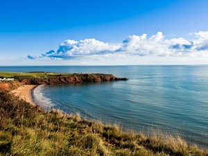 Devon's Coast