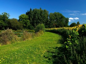 Twelve Oaks Farm Holiday Park