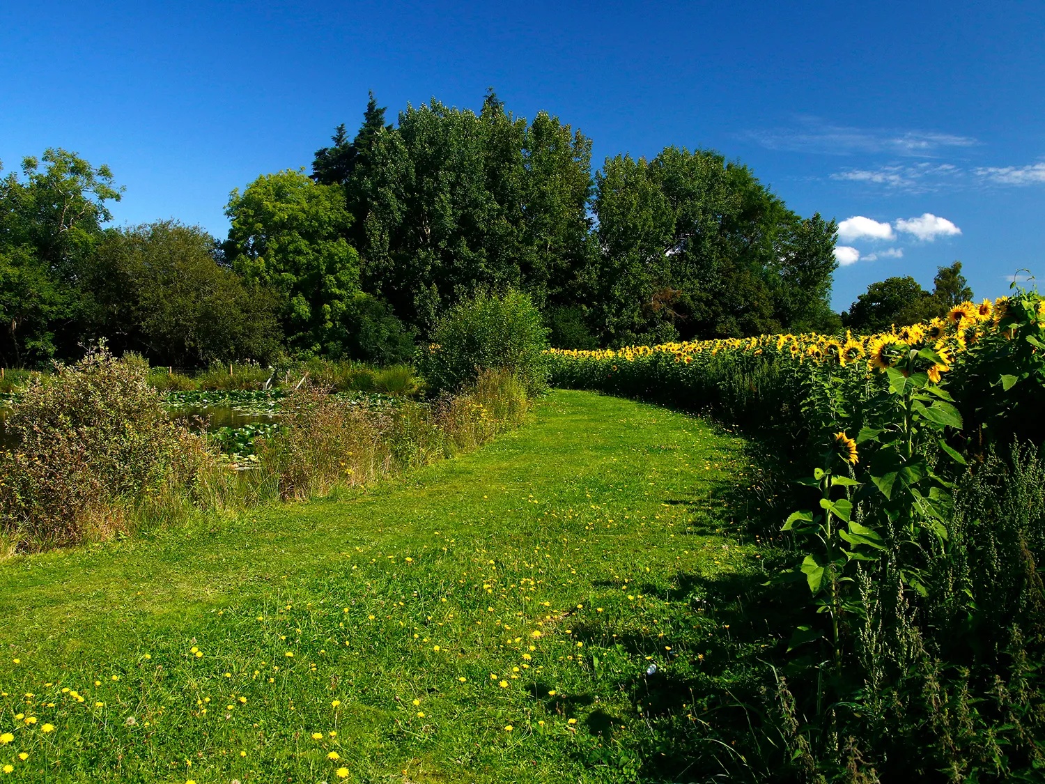 Twelve Oaks Farm Holiday Park