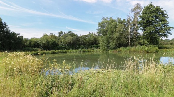 Fishing Lake Steam Mill Lodges