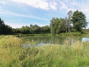 Fishing Lake Steam Mill Lodges