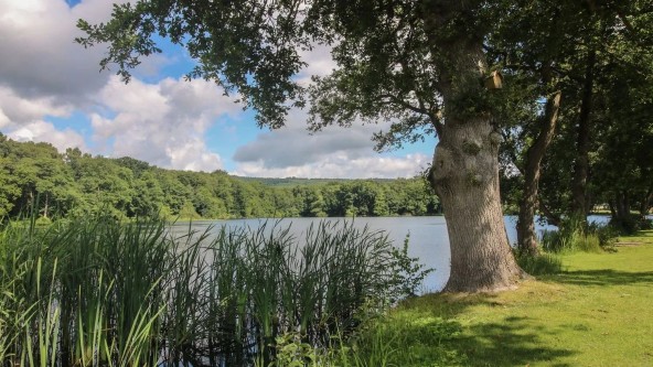 Pearl Lake Country Park