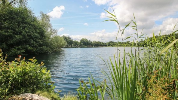 Pearl Lake Fishing Lake
