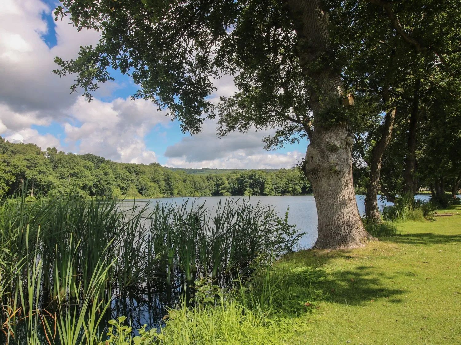 Pearl Lake Country Park