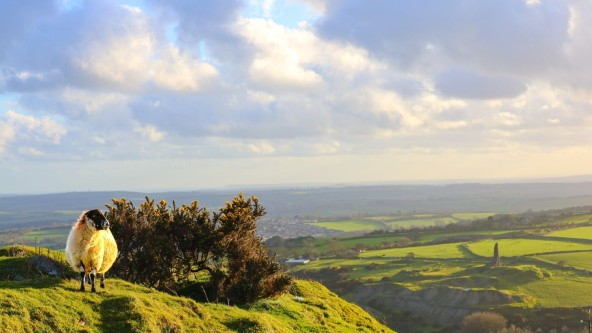 Bodmin Moor
