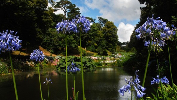 Trebah Gardens