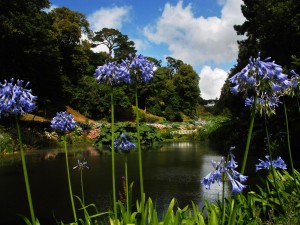 Trebah Gardens