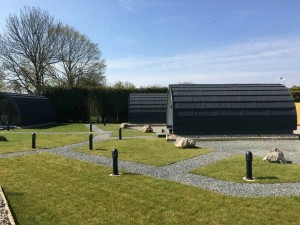 Low Greenlands' pods
