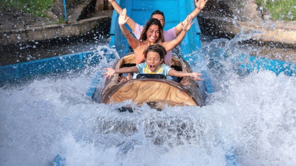 Family on theme park ride