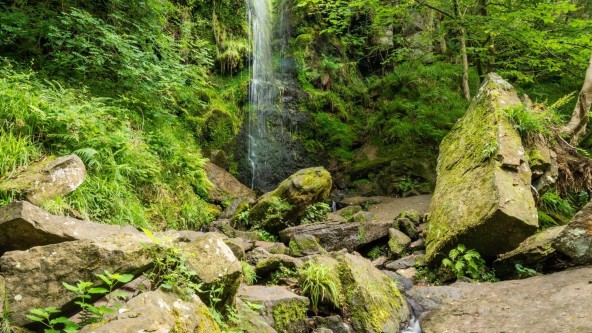 Mallyan Spout Waterfall