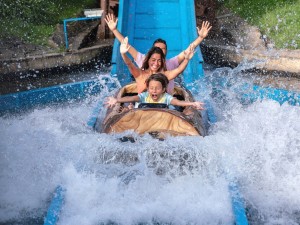 Family on theme park ride