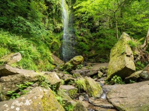 Mallyan Spout Waterfall