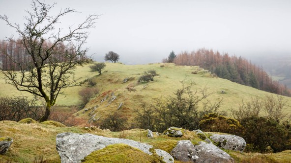 Clwydian Range