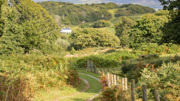 Nature walk near Porthmadog