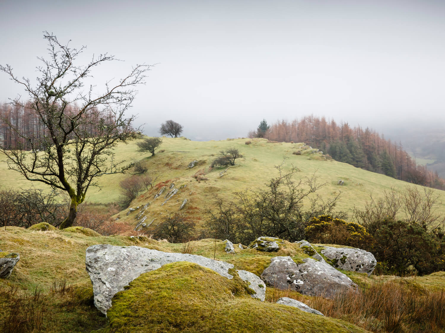 Clwydian Range
