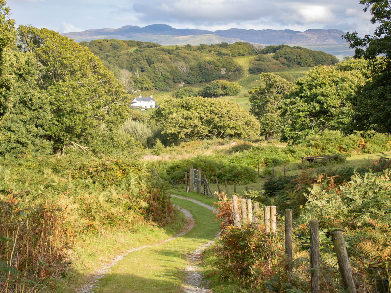 Nature walk near Porthmadog