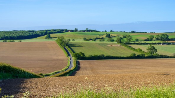 Howardian Hills
