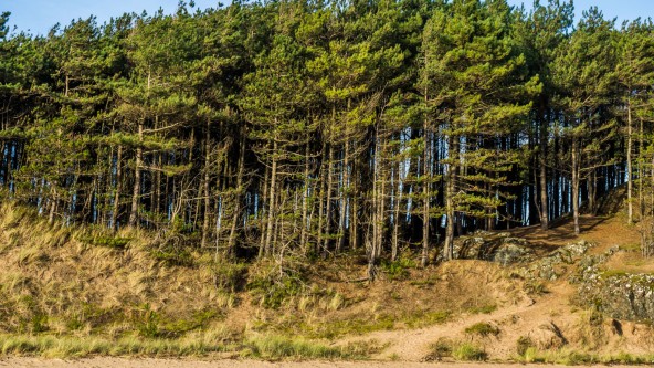 Newborough Beach