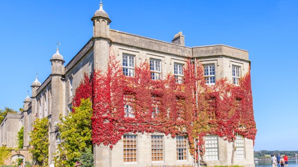Plas Newydd