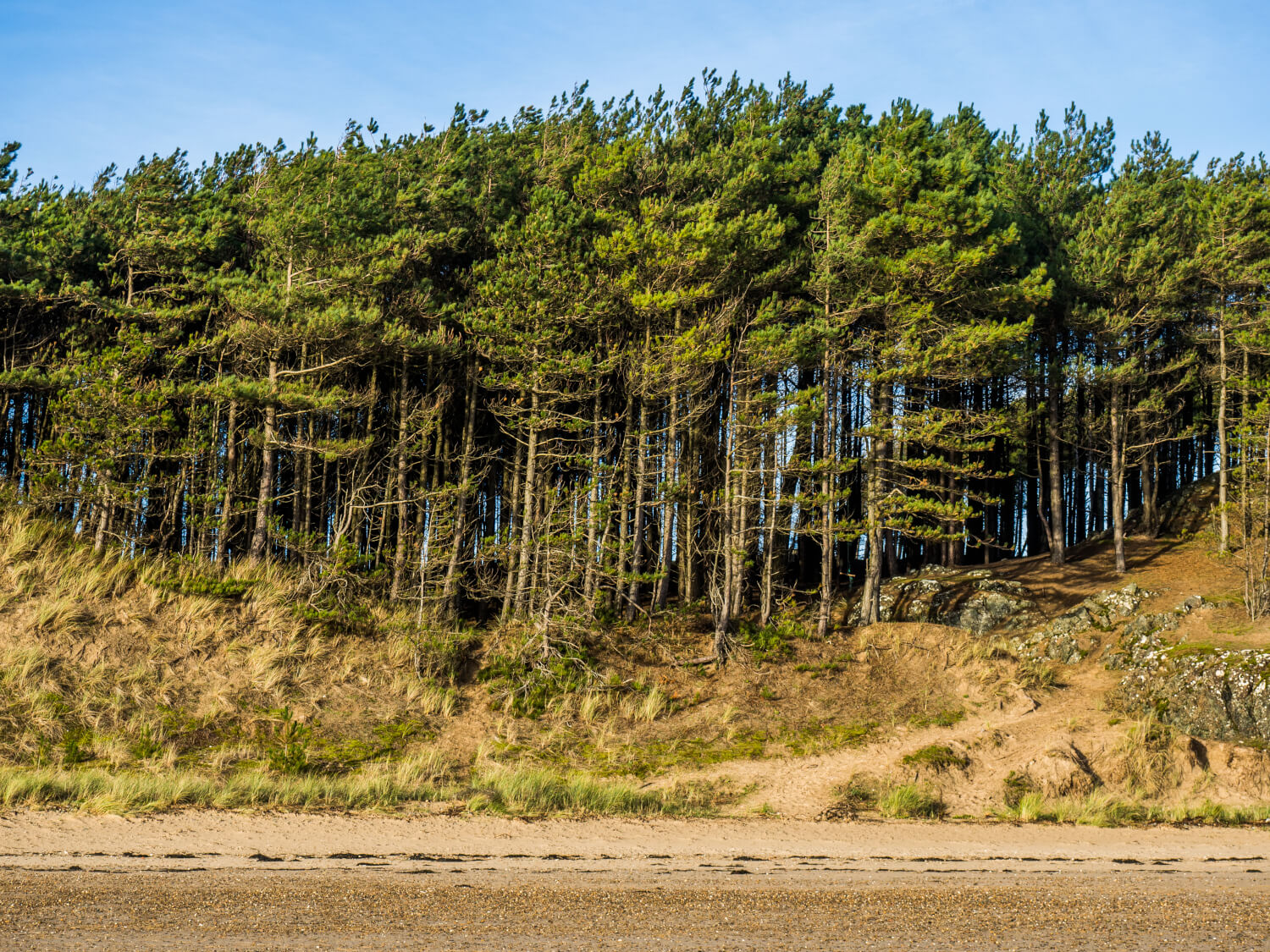 Newborough Beach