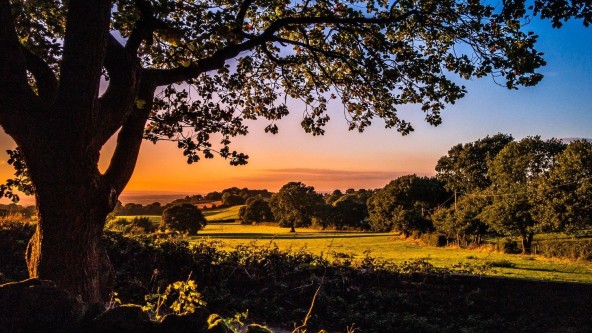 Cheshire Countryside