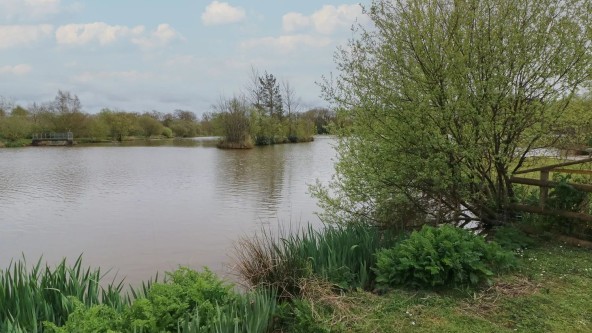 Fishing Lake Stafford Moor