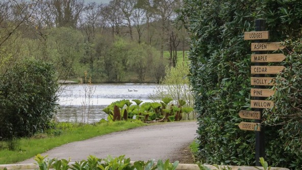 Lake Stafford Moor Fishery
