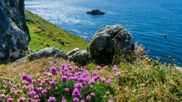 Little Haven Retreat - Pembrokeshire Coast