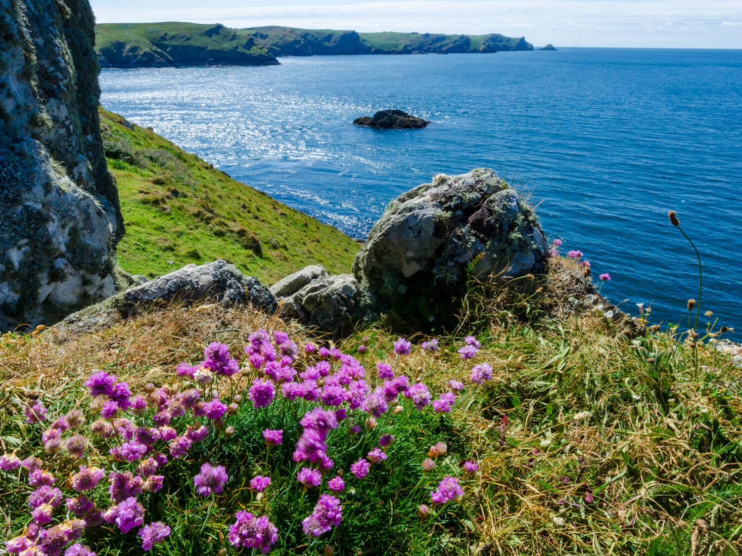 Little Haven Retreat - Pembrokeshire Coast