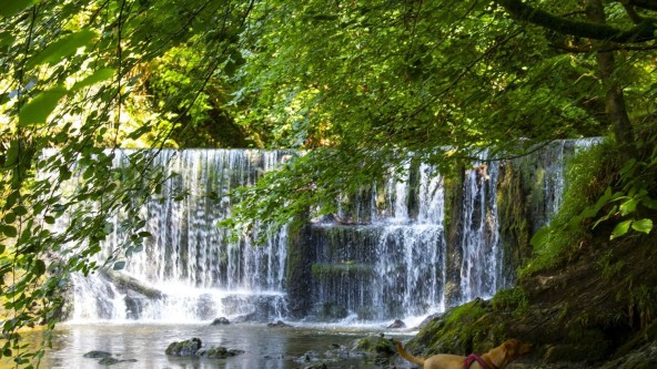 Stock Ghyll Force