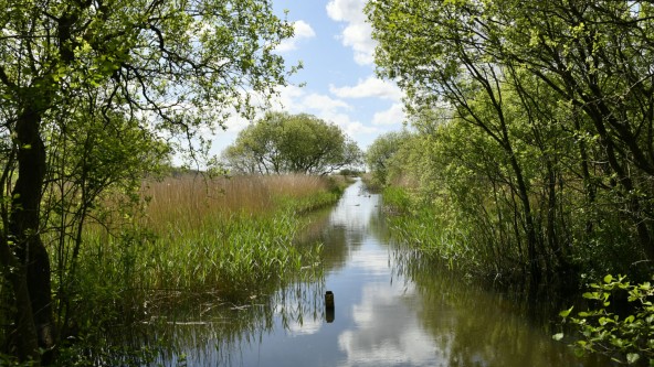 South Lakeland Leisure Village - Leighton Moss